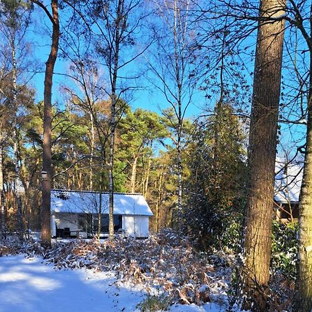 Bungalow, Vrijstaand, Het Vosseven Nr 38 Stramproy Luaran gambar