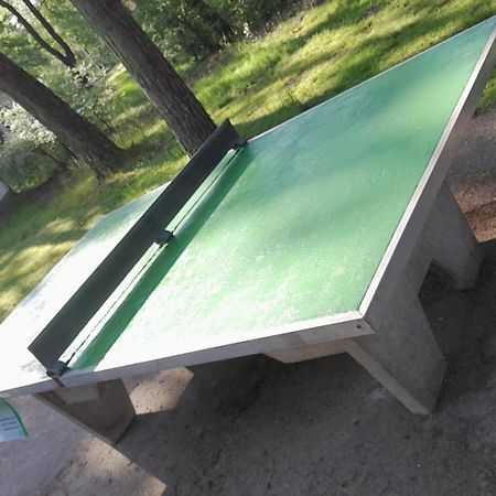 Bungalow, Vrijstaand, Het Vosseven Nr 38 Stramproy Luaran gambar