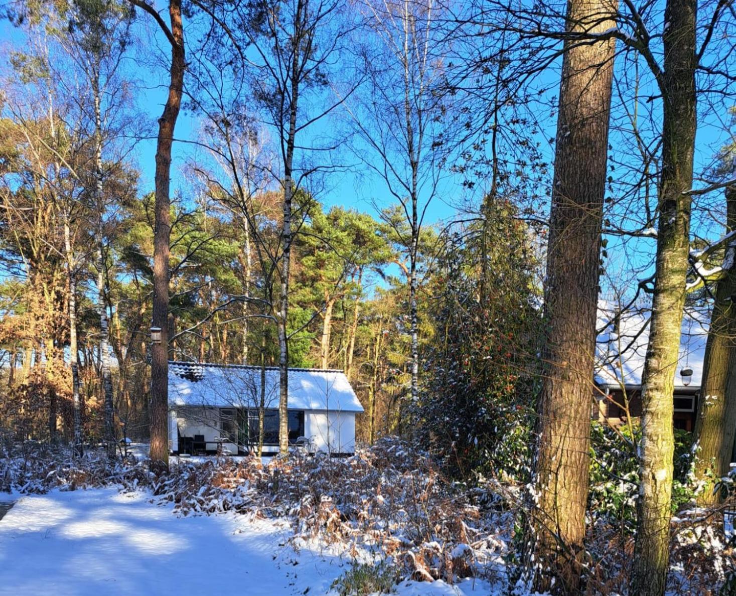 Bungalow, Vrijstaand, Het Vosseven Nr 38 Stramproy Luaran gambar