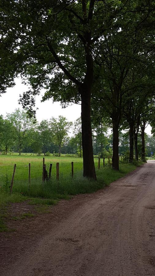 Bungalow, Vrijstaand, Het Vosseven Nr 38 Villa Stramproy Luaran gambar